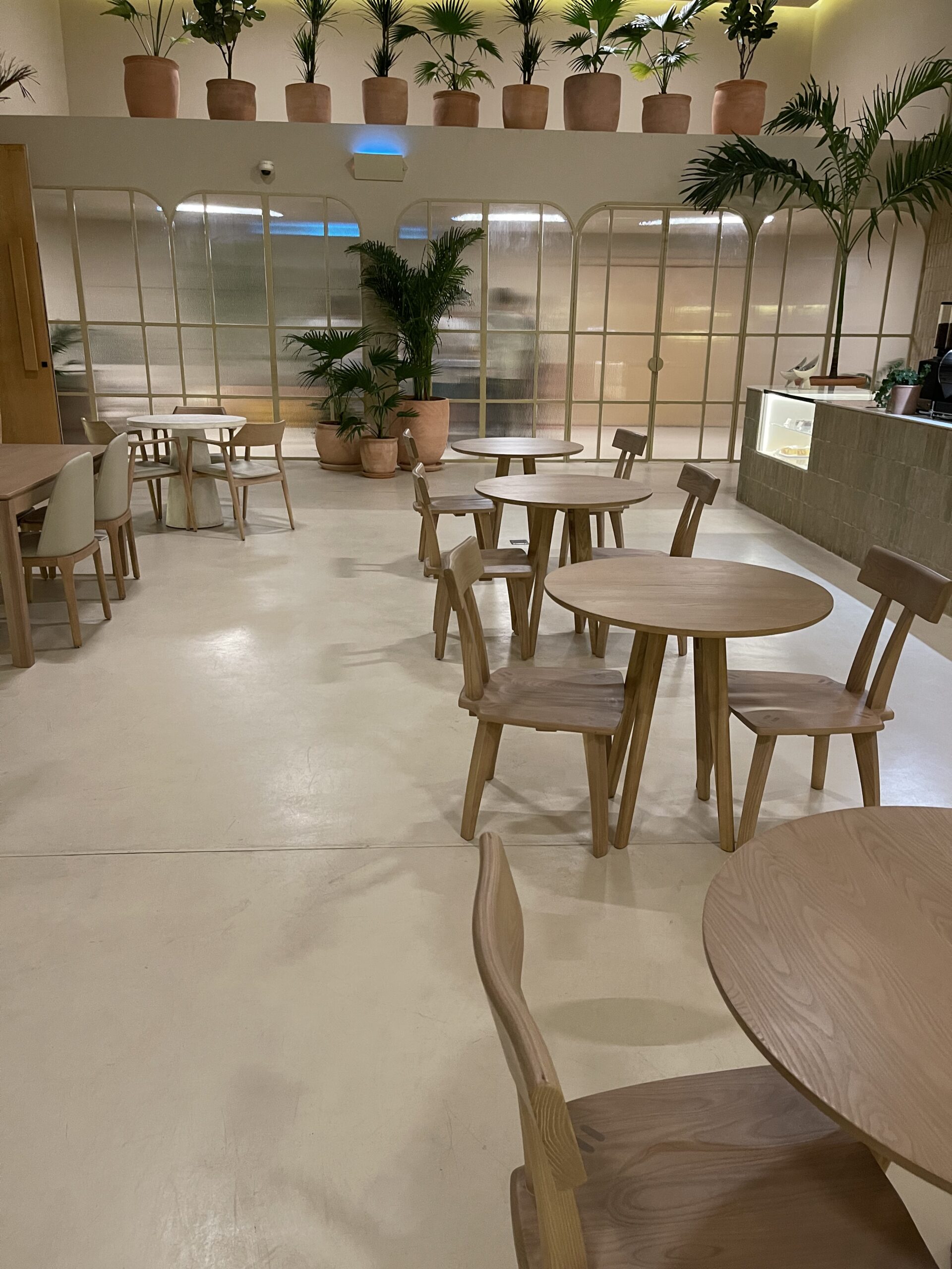 20240319 213727 img 4747